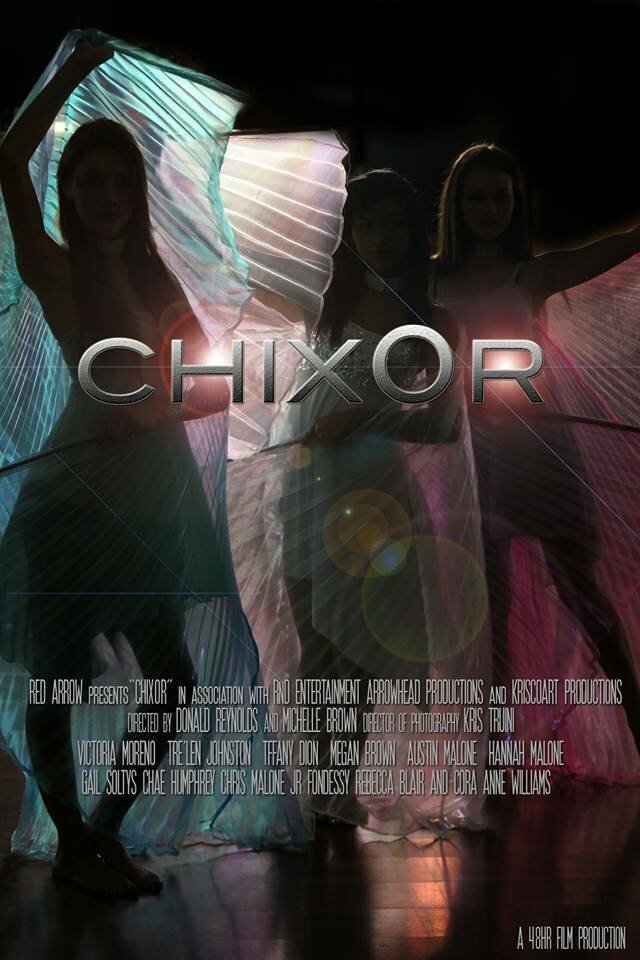 Chix0r (2013) постер