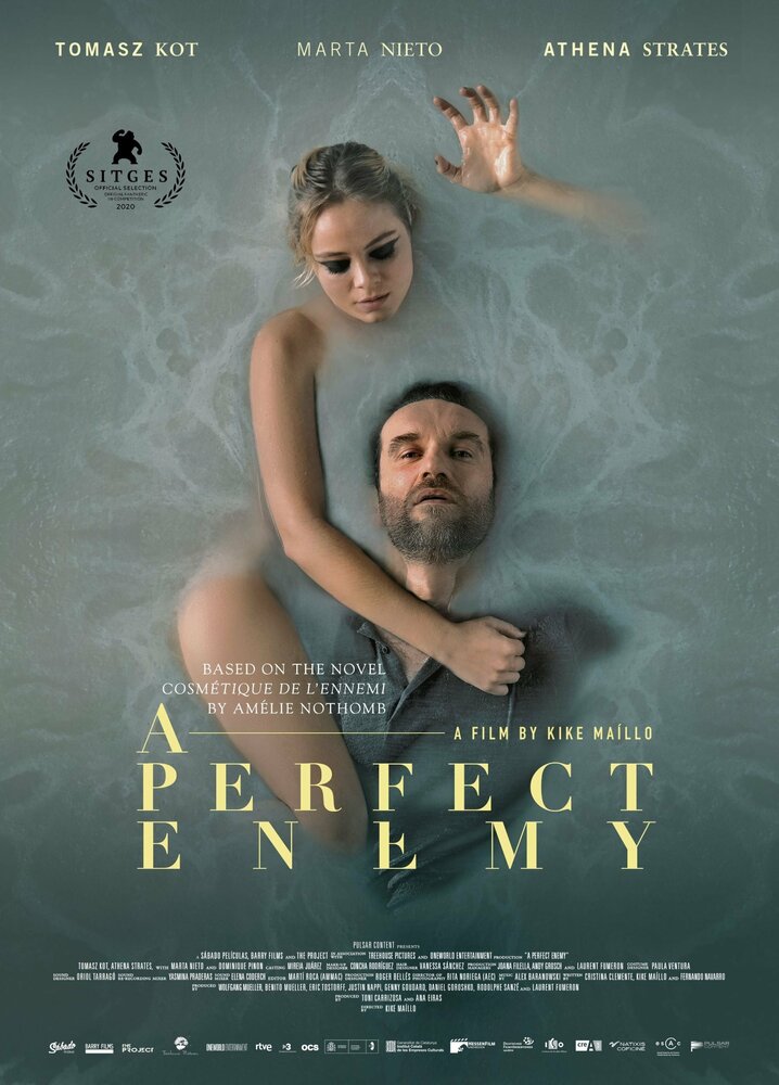 Идеальный враг (2020) постер