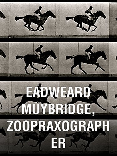Эдвард Муйбридж, художник животных (1975) постер