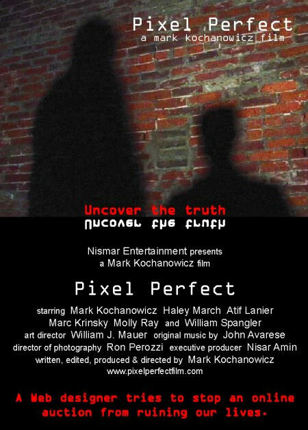 Pixel Perfect (2004) постер