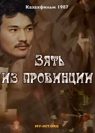 Зять из провинции (1987) постер