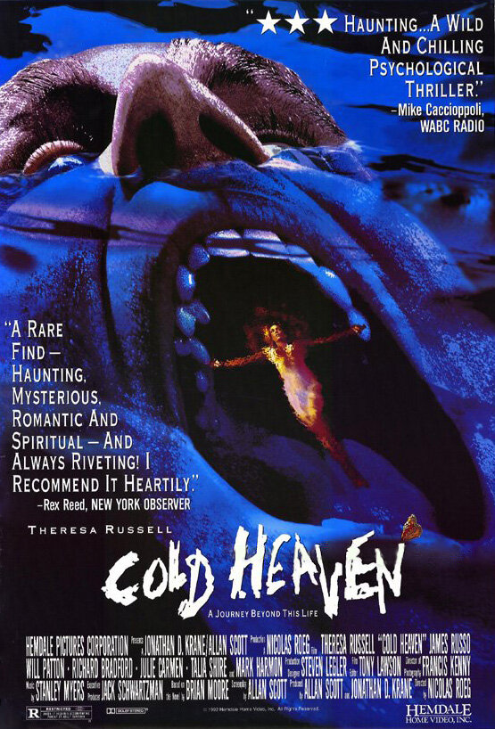 Холодные небеса (1990) постер