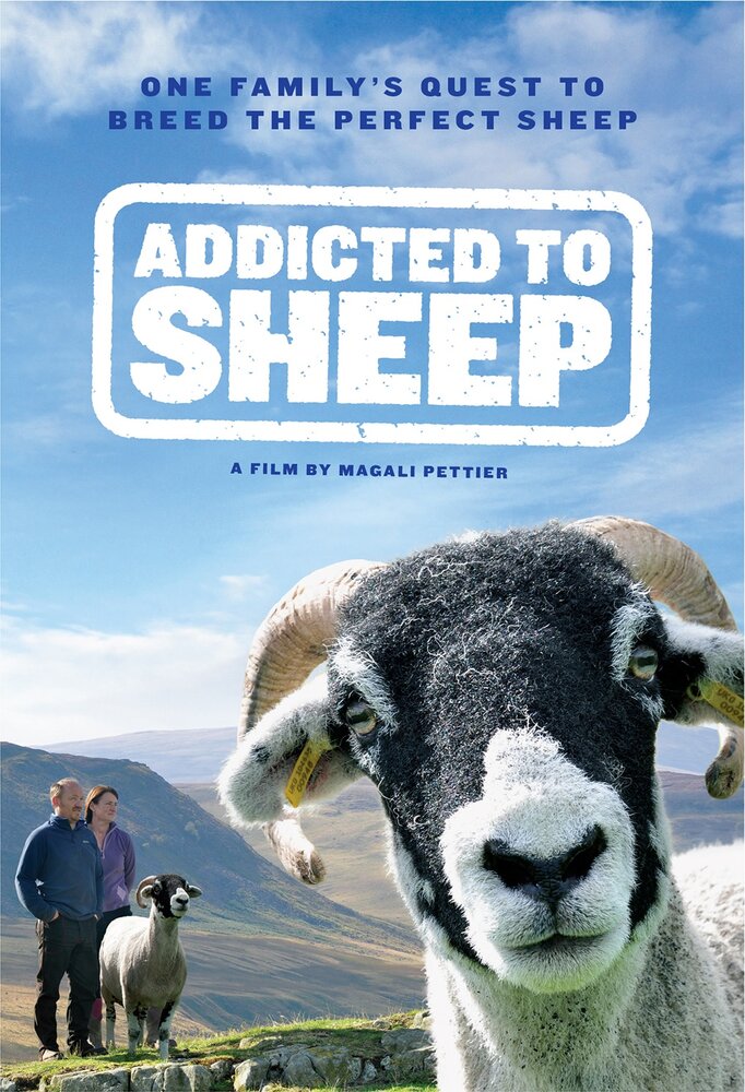 Повёрнутые на овцах (2015) постер