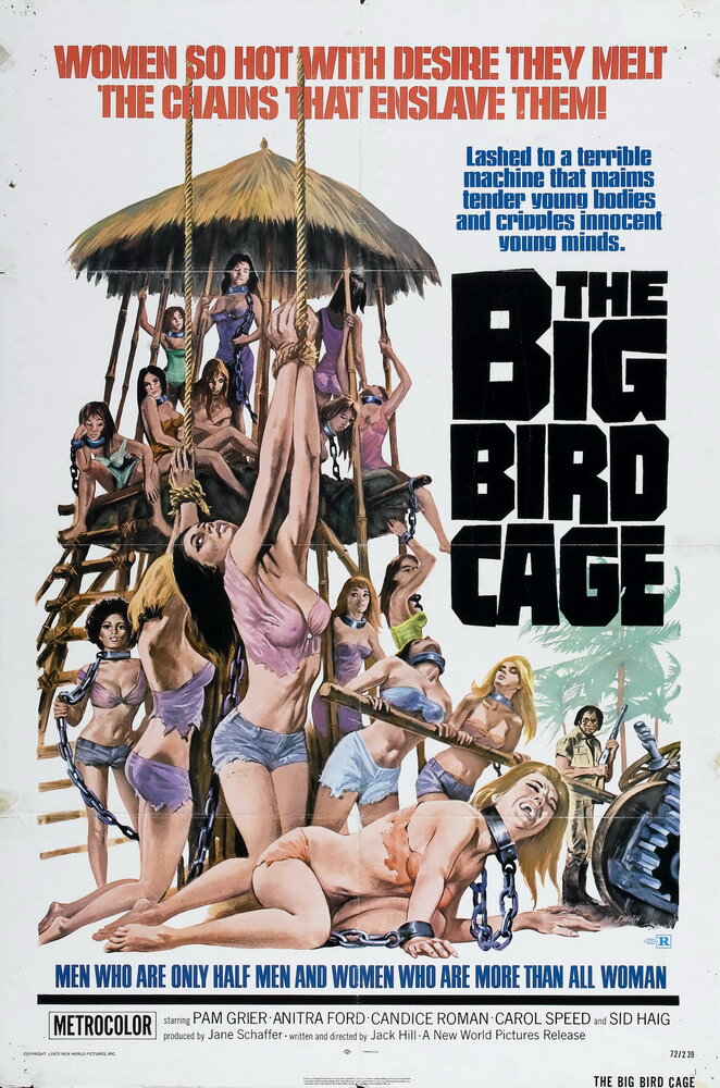 Большая клетка для птиц (1972) постер