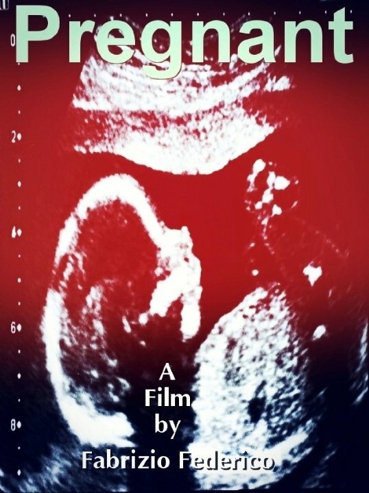 Pregnant (2015) постер