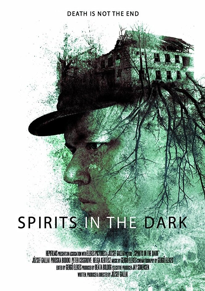 Spirits in the Dark (2020) постер