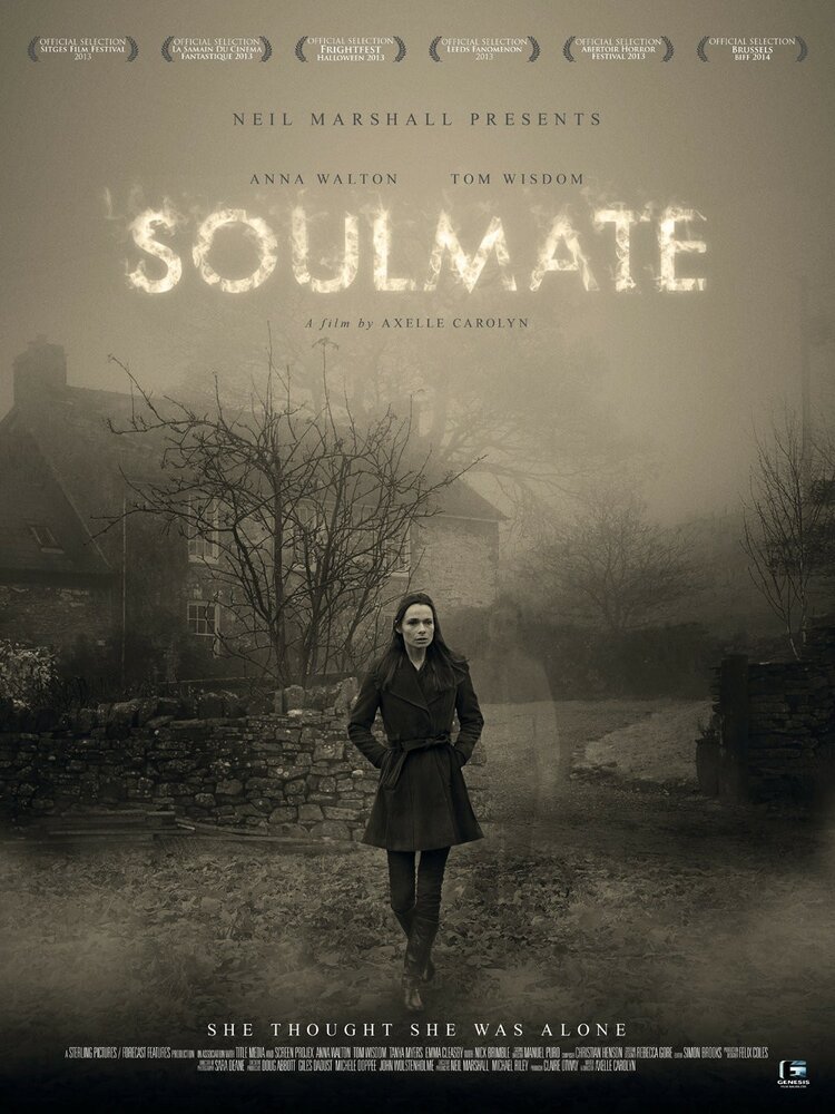 Родственная душа (2013) постер