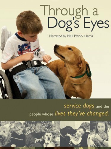 Through a Dog's Eyes (2010) постер
