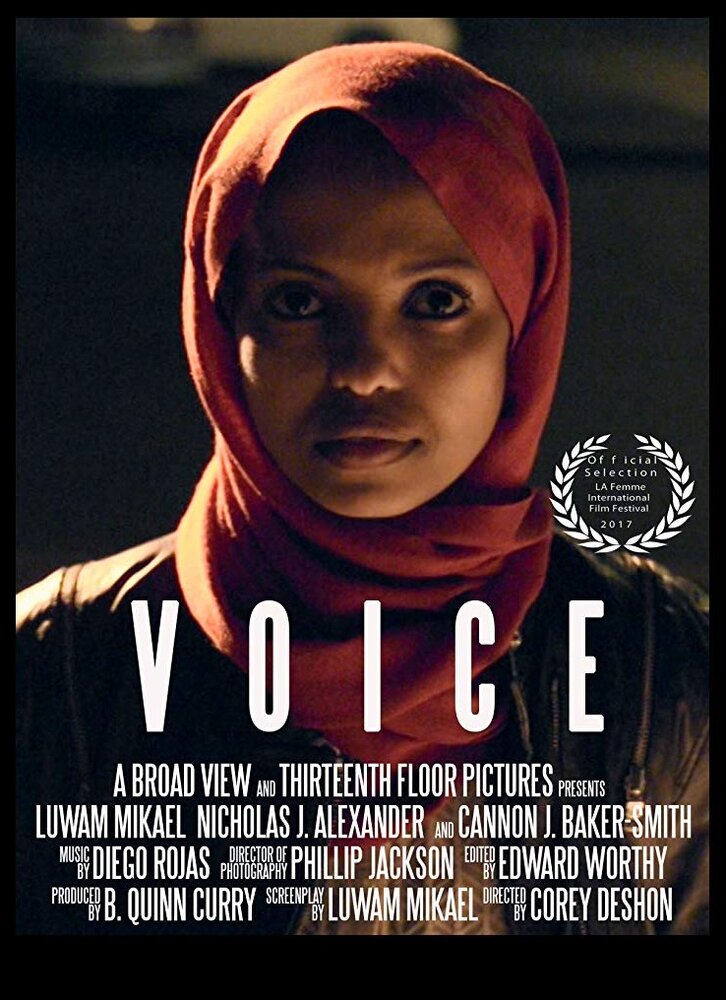 Voice (2017) постер