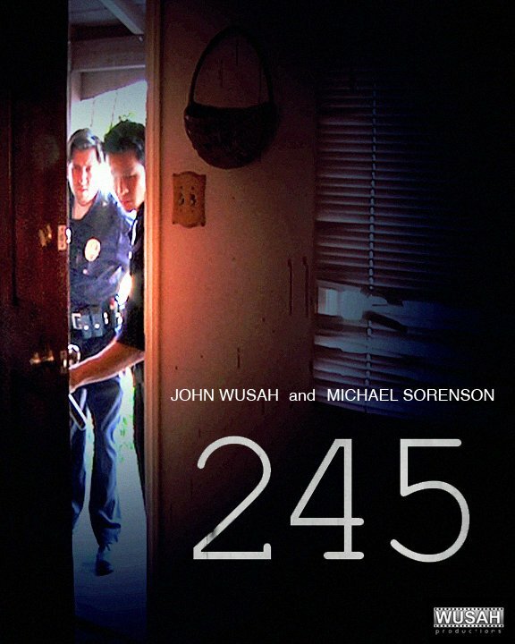 245 (2013) постер