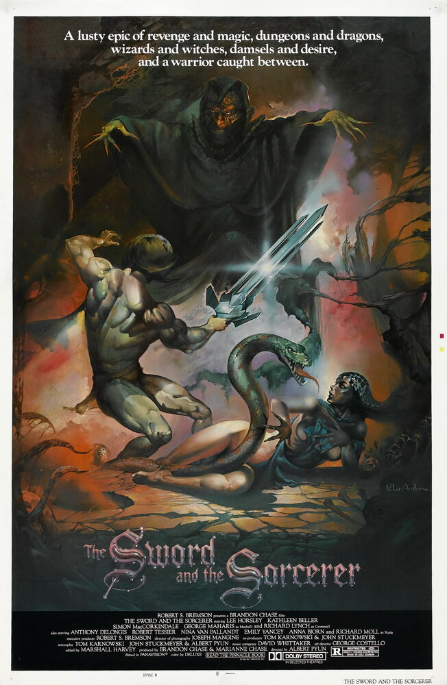 Меч и колдун (1982) постер
