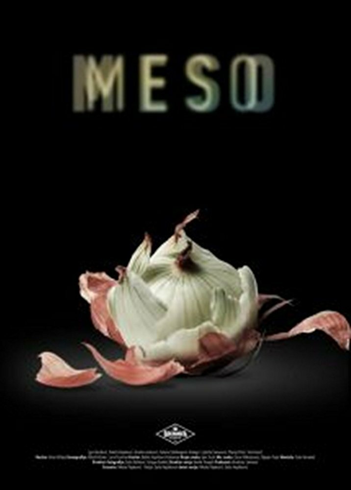 Meso (2017) постер