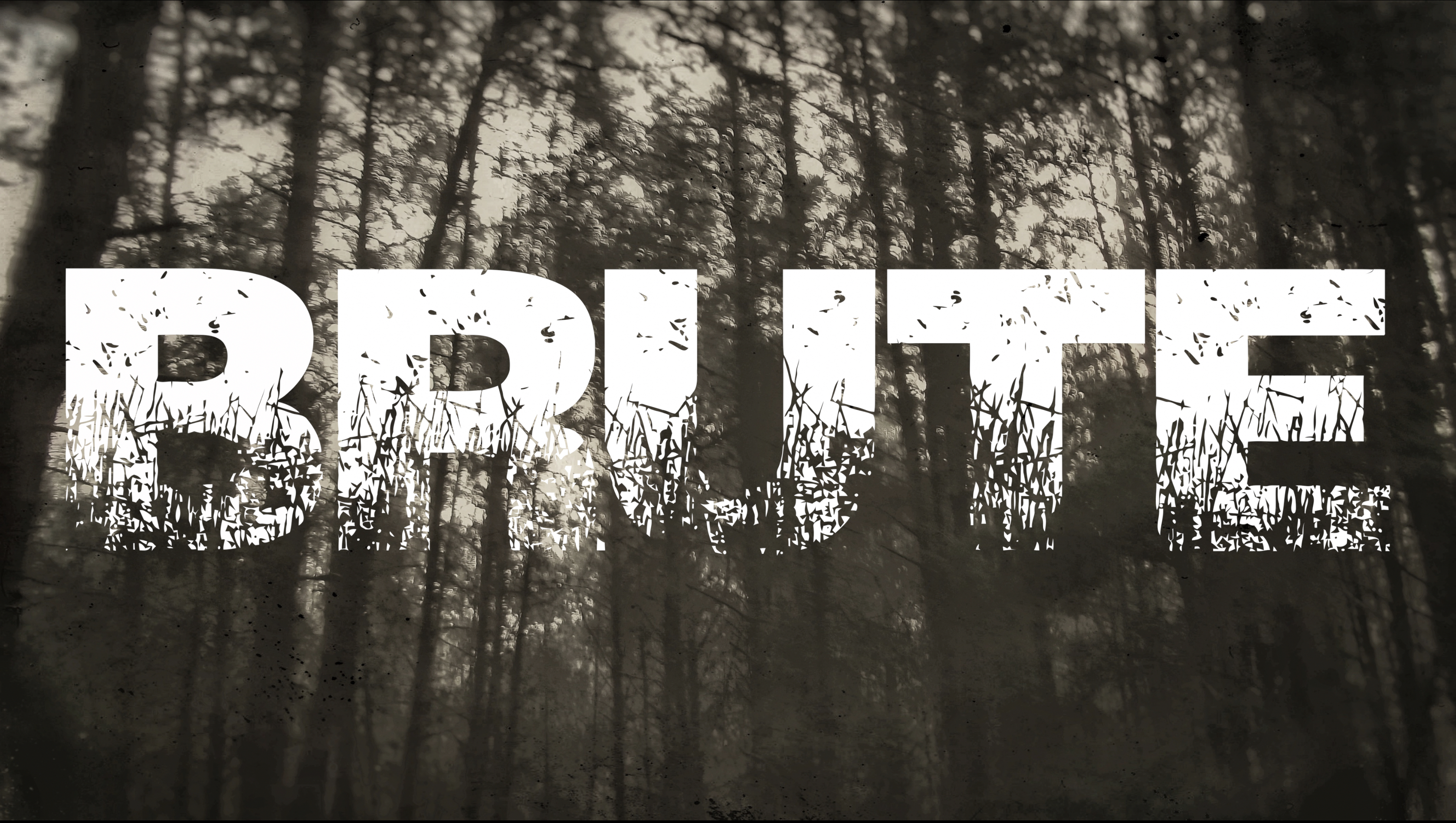 Brute (2020) постер