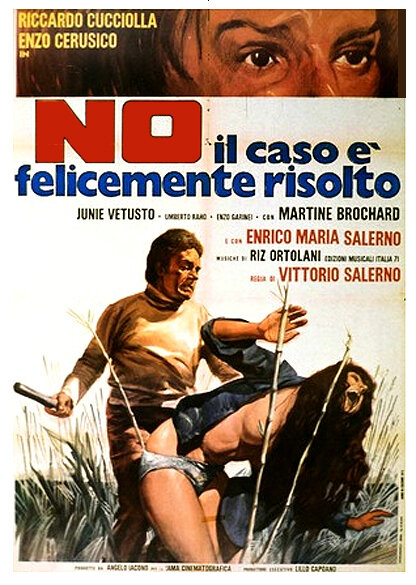 Нет, дело успешно раскрыто (1973) постер