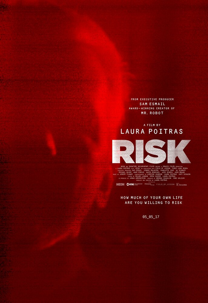 Риск (2016) постер