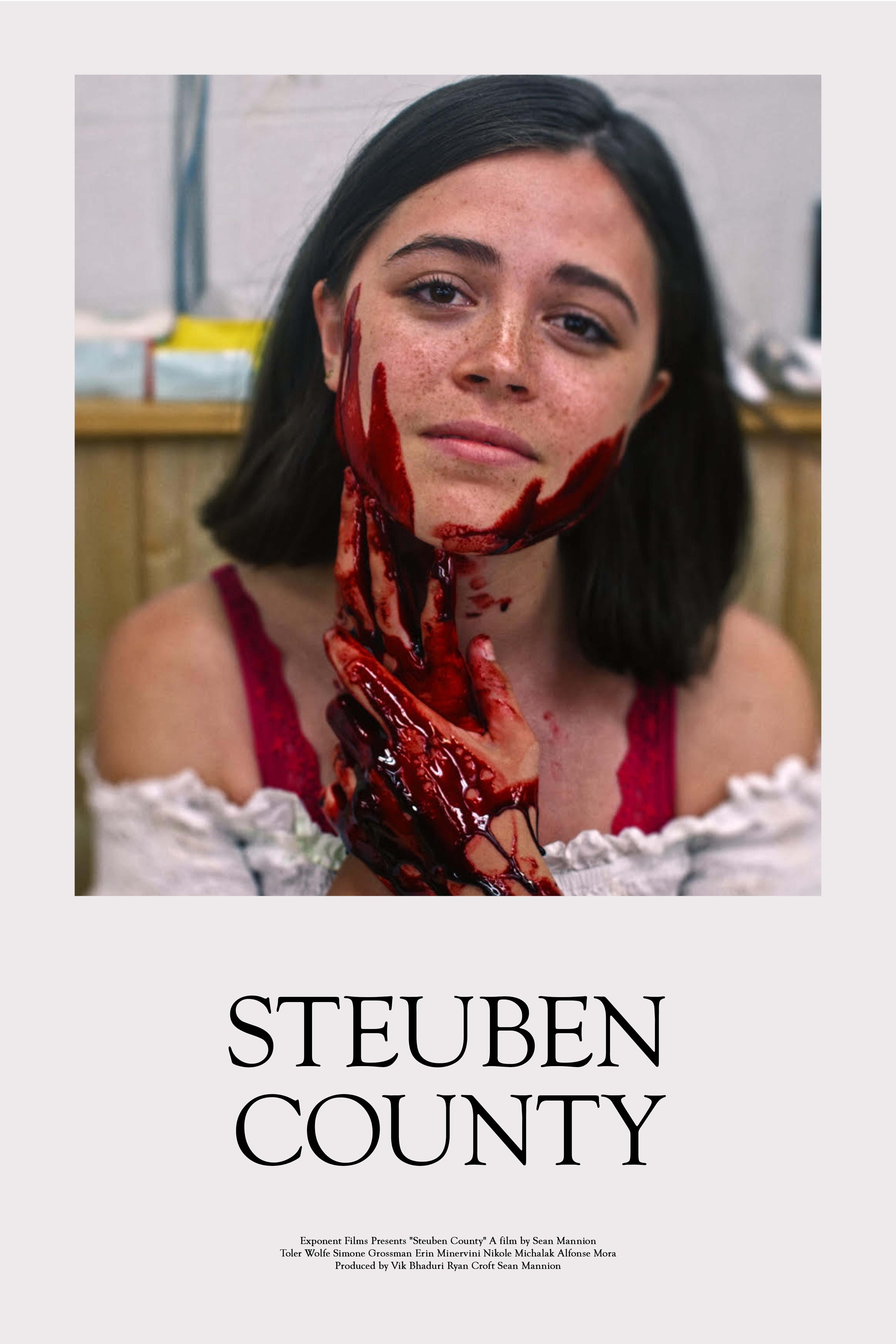 Steuben County (2020) постер