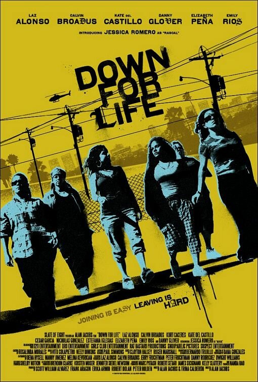 Вниз по жизни (2009) постер