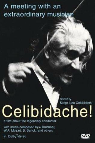 Celibidache (1992) постер
