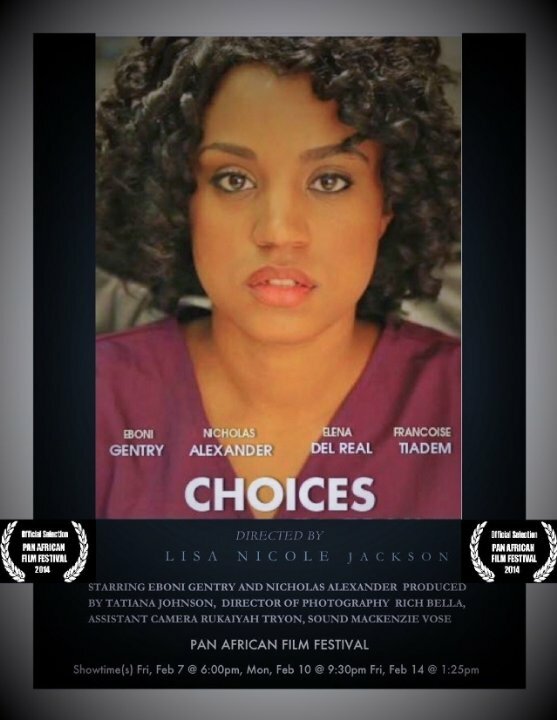 Choices (2014) постер
