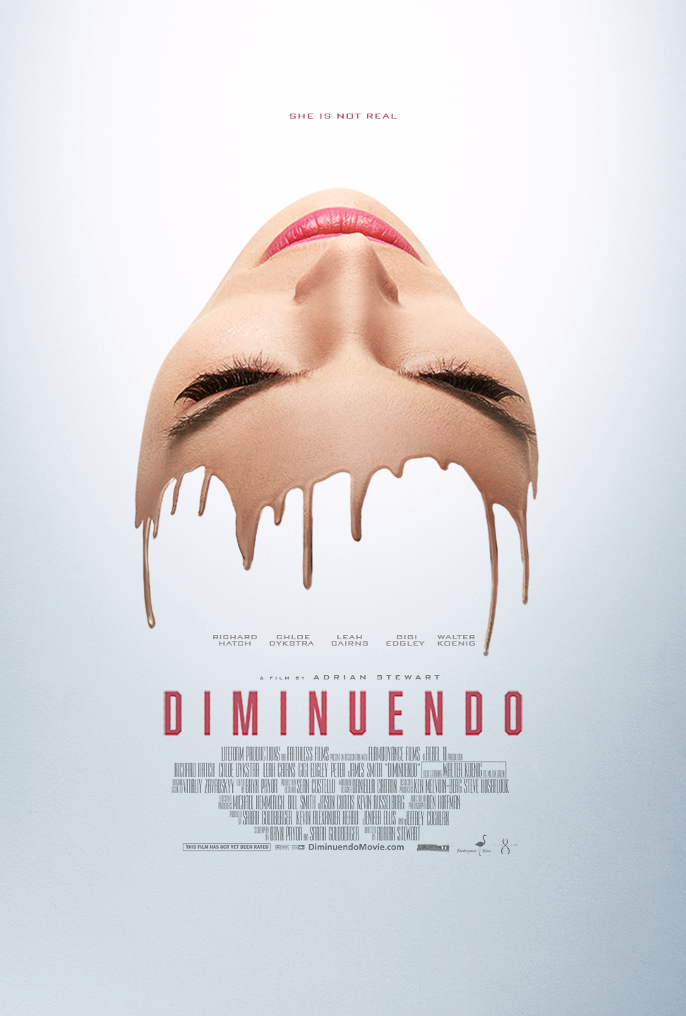 Diminuendo (2018) постер