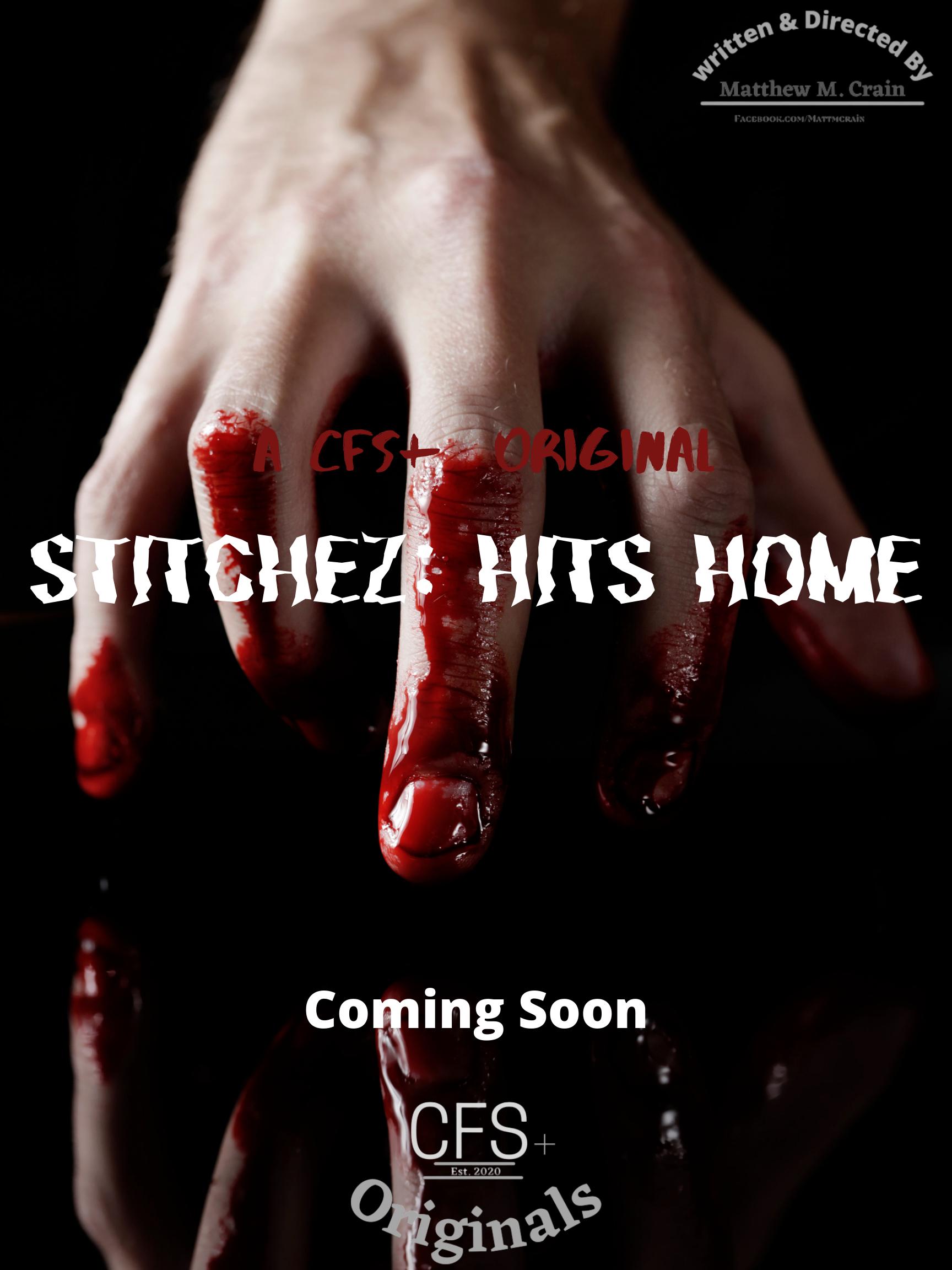 Stitchez: Hits Home (2022) постер