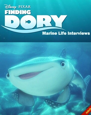 В поисках Дори: Интервью о морской жизни (2016) постер