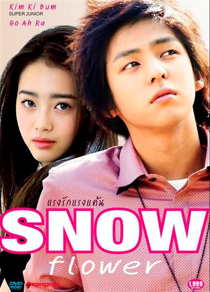 Снежный цветок (2006) постер
