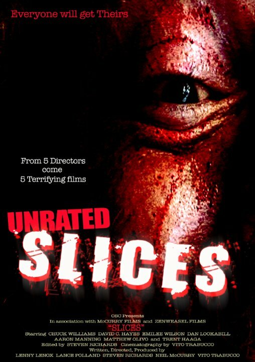Slices (2008) постер