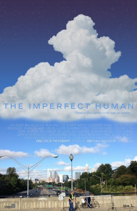 The Imperfect Human (2015) постер