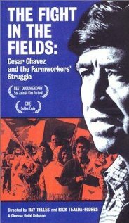 The Fight in the Fields (1997) постер
